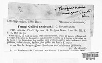 Diplonaevia emergens image